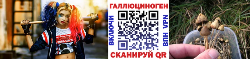 Псилоцибиновые грибы прущие грибы  Кувандык 